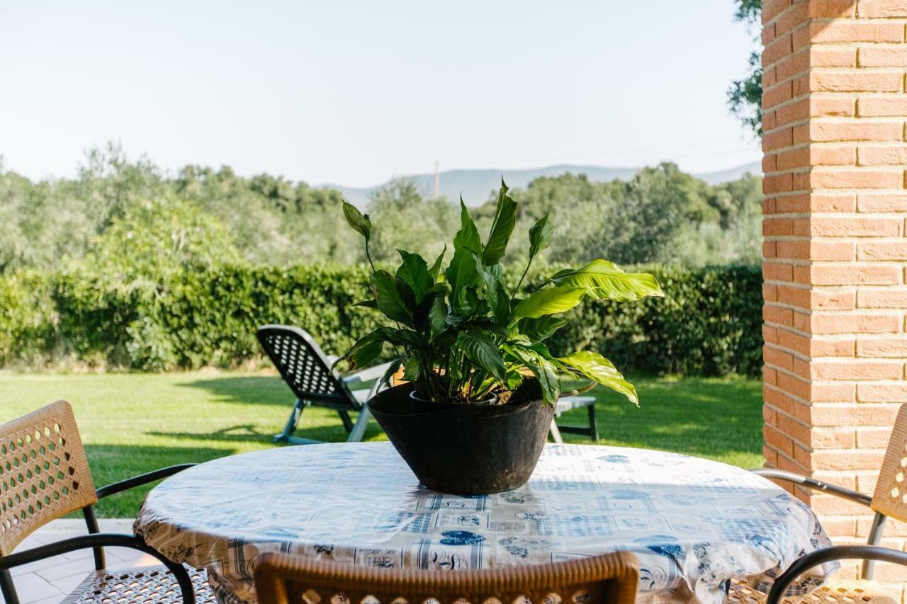Agriturismo Casa Andreina Castiglione della Pescaia Exteriér fotografie