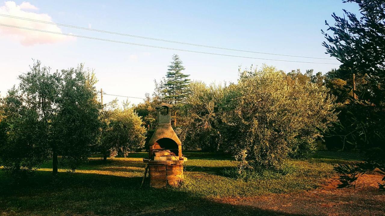 Agriturismo Casa Andreina Castiglione della Pescaia Exteriér fotografie